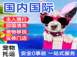 南昌航空邮寄国际宠物托运 【国